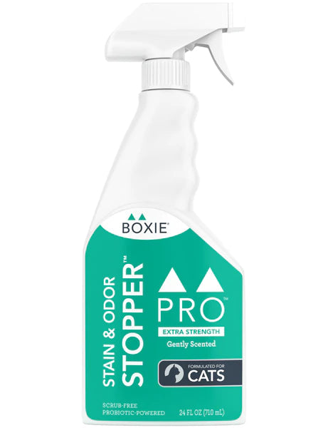 BOXIE CAT STAIN ODOR SCENTED 24OZ