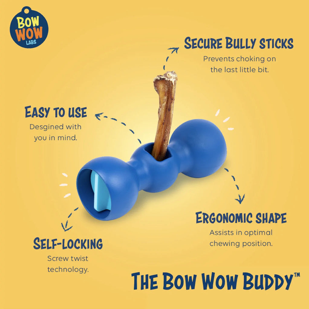Bow Wow Buddy Medium/Purple