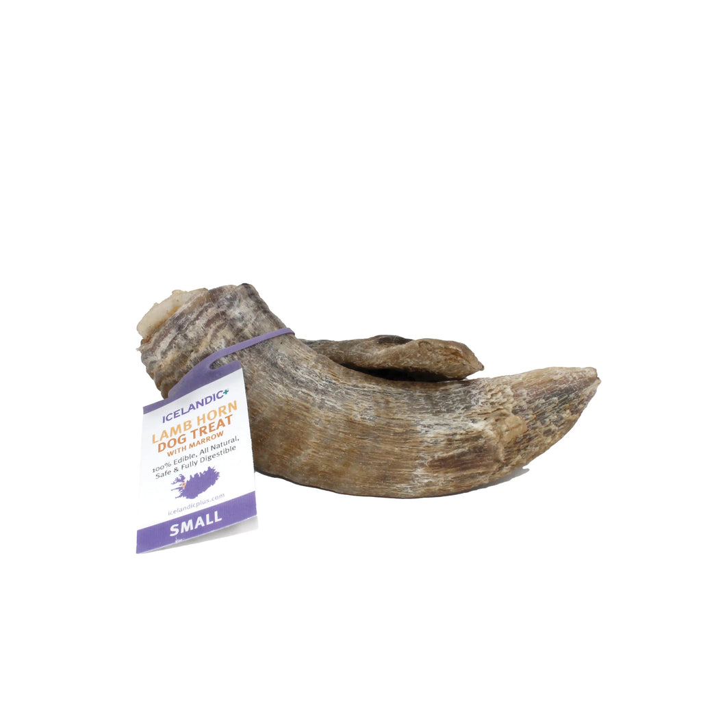 Icelandic Dog Lamb Horn with Marrow Small