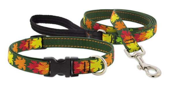 Lupine Lifetime Training Martingale Dog Collar 3/4" LIMITED - TIFFANY