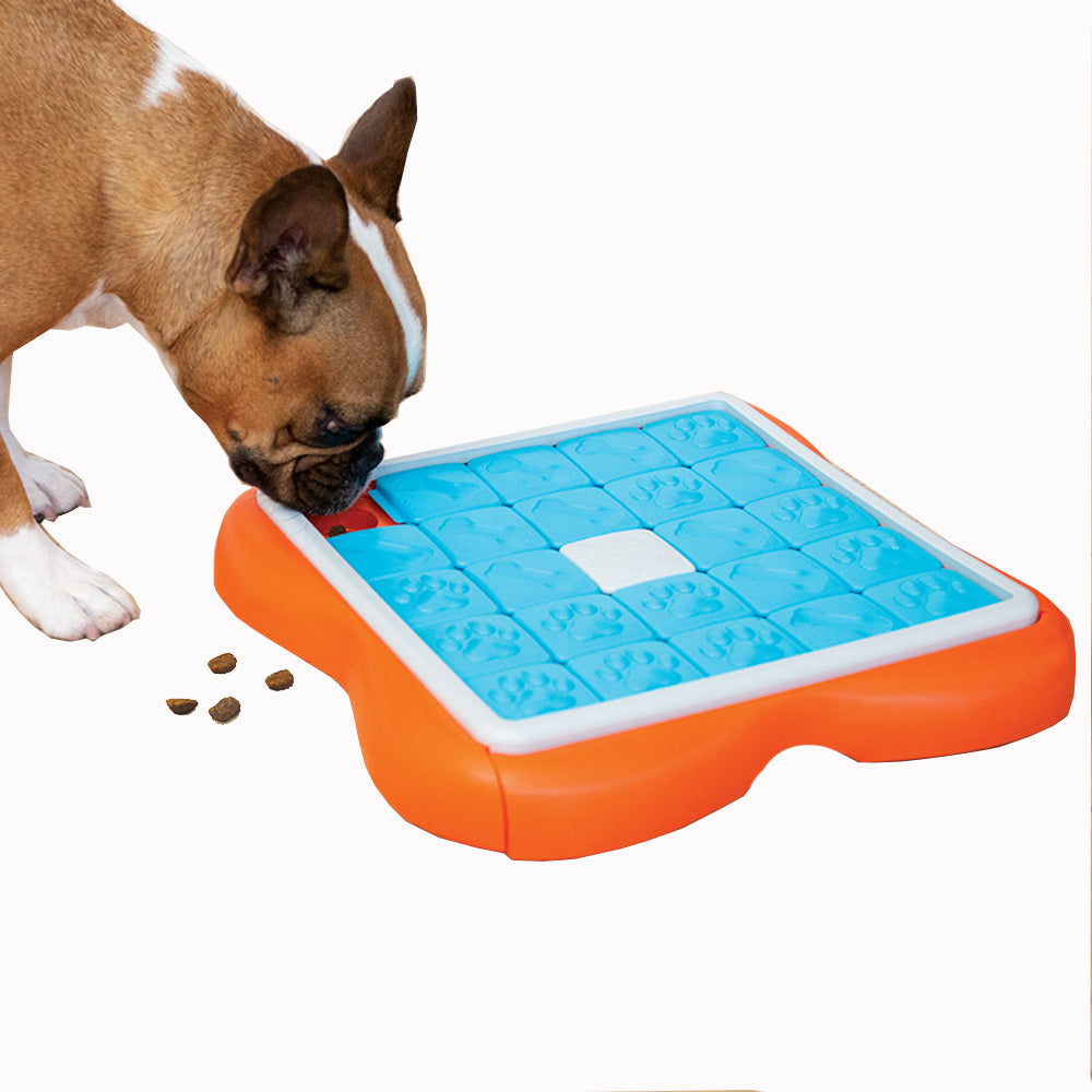 Dog Casino Interactive Treat Puzzle Dog Toy, Turquoise