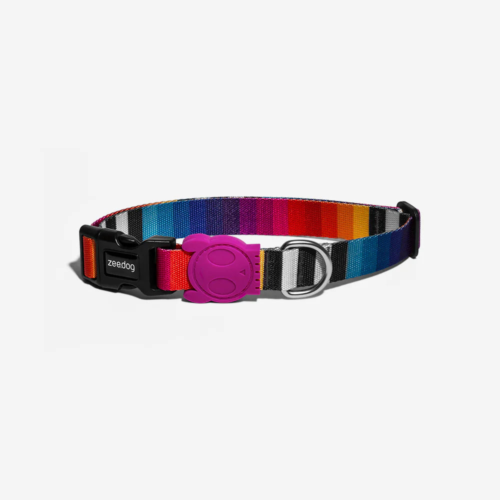 Prisma Dog Collar Medium