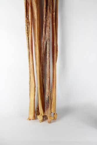 32" Full Cane Bully Stick Odor Free-Four Muddy Paws