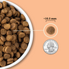 Acana Dog Wholesome Grains Puppy 4 LB-Four Muddy Paws