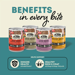 Acana Grain Free Pate Beef Can Dog Food 12.8oz-Four Muddy Paws