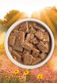 Acana Grain Free Pate Poultry Can Dog Food 12.8oz-Four Muddy Paws