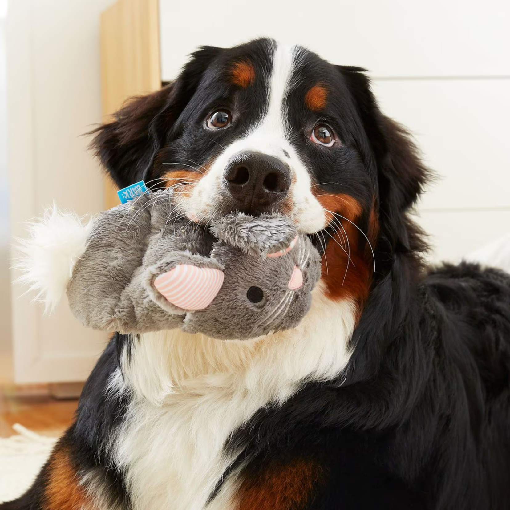 BARK Itty & Bitty the Bunny Slippers Dog Toy-Four Muddy Paws