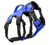 Baydog Saranac Dog Pack M Blue-Four Muddy Paws