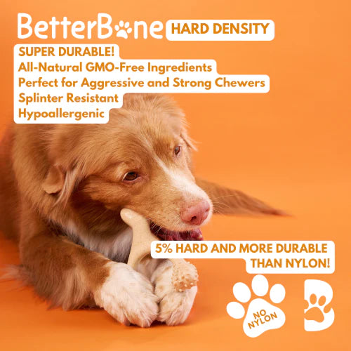 BetterBone Tough All-Natural Sustainable Chew Toy Mini Beef Flavor-Four Muddy Paws