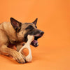 BetterBone Tough All-Natural Sustainable Chew Toy Mini Beef Flavor-Four Muddy Paws
