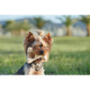 BetterBone Tough All-Natural Sustainable Chew Toy Mini Beef Flavor-Four Muddy Paws