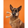 BetterBone Tough All-Natural Sustainable Chew Toy Mini Beef Flavor-Four Muddy Paws