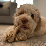 BetterBone Tough All-Natural Sustainable Chew Toy Small Beef Flavor-Four Muddy Paws