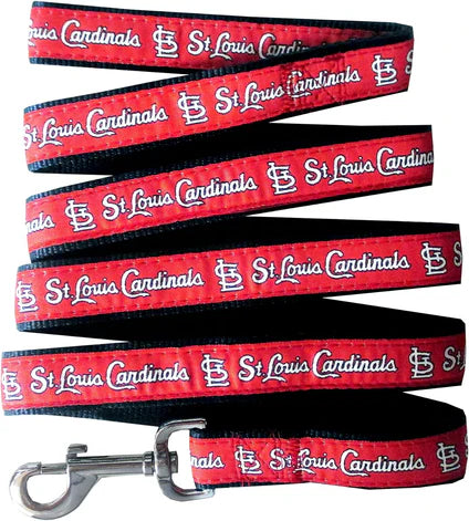 Cardinal Leash S-Four Muddy Paws