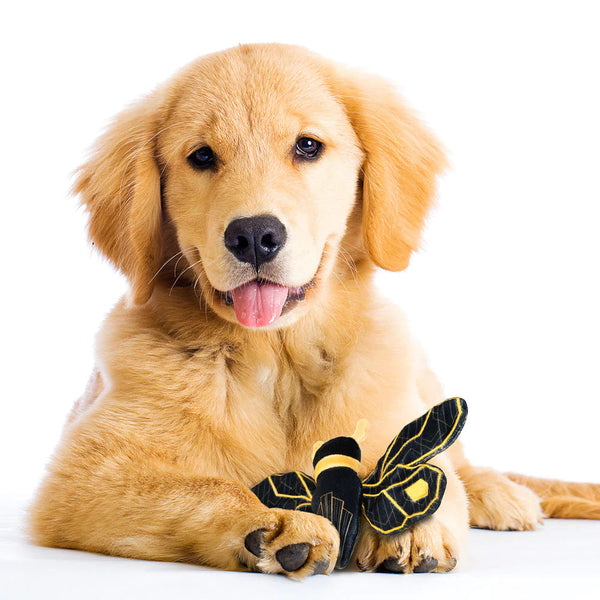 Cavall Art Deco Bee Dog Toy-Four Muddy Paws