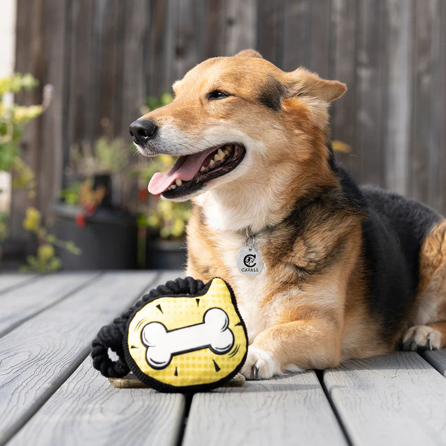Cavall Pop Art Bone Dog Toy-Four Muddy Paws