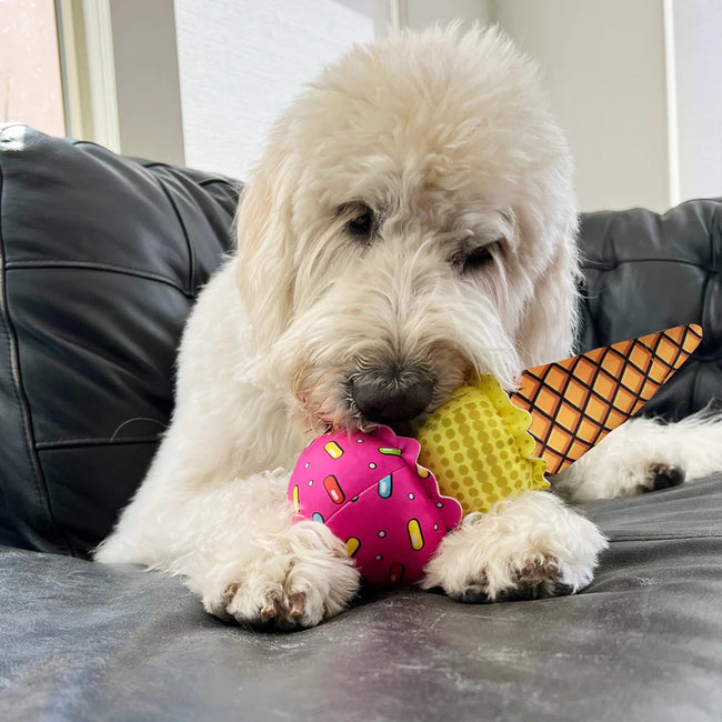 Cavall Pop Art Ice Cream Cone Dog Toy-Four Muddy Paws