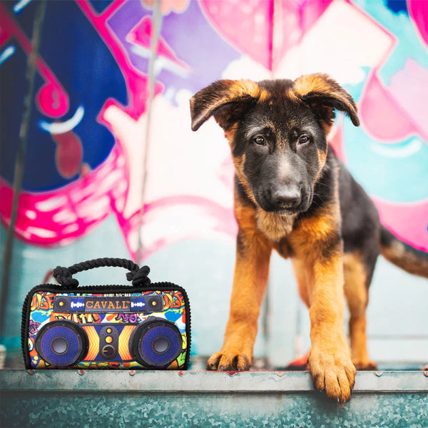 Cavall Street Art Boom Box Dog Toy-Four Muddy Paws