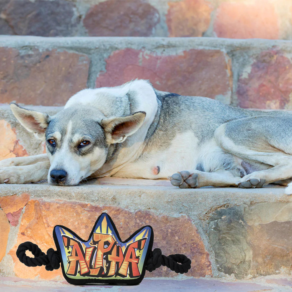 Cavall Street Art Crown Dog Toy-Four Muddy Paws