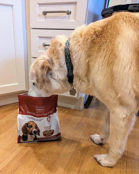 Dave's Restricted Phosphorus Chicken Dog Food 4lbs-Four Muddy Paws