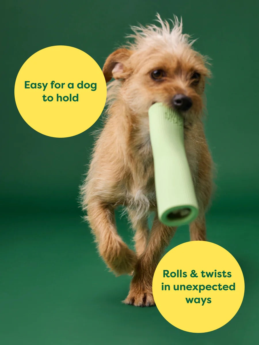 Earth Rated Green Rubber Dog Chew Toy Large-Four Muddy Paws