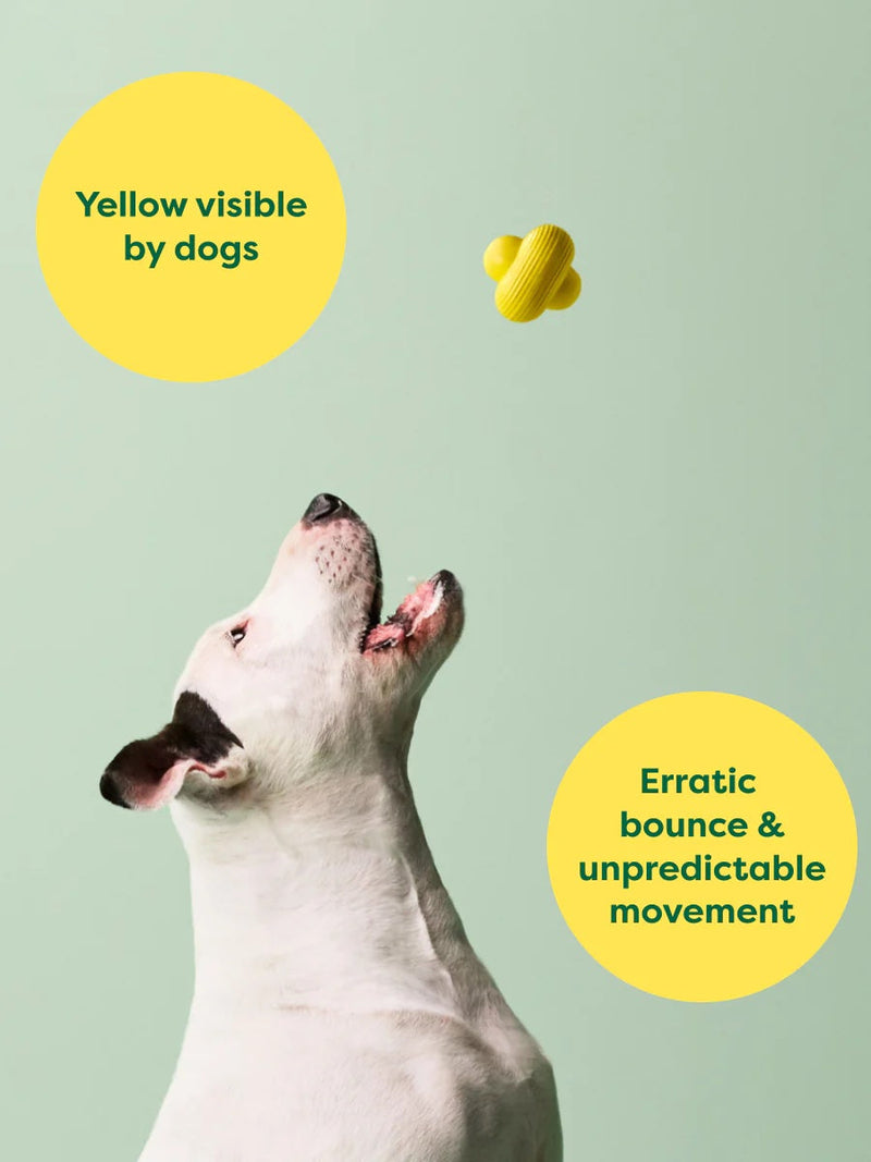 Earth Rated Yellow Rubber Dog Fetch Toy Large-Four Muddy Paws