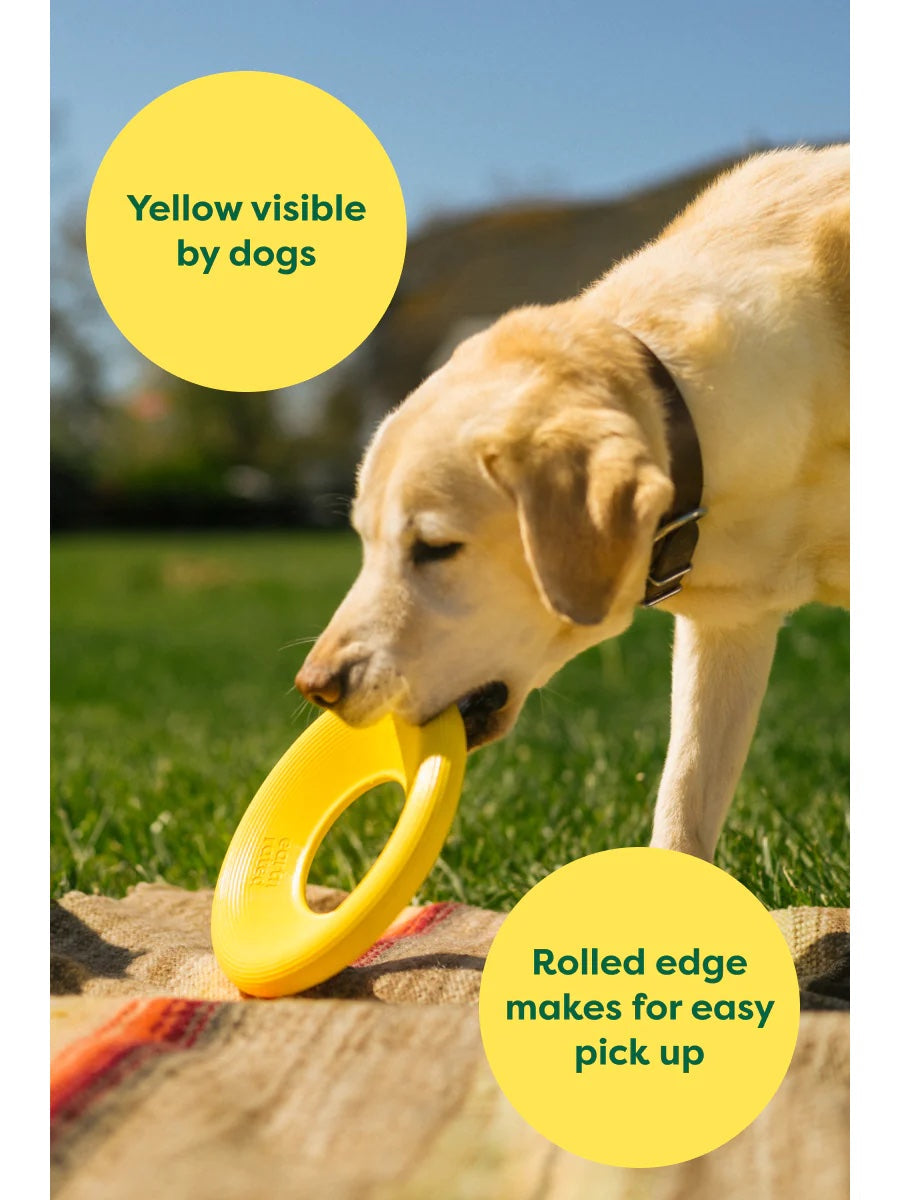 Earth Rated Yellow Rubber Dog Flyer Toy Small-Four Muddy Paws