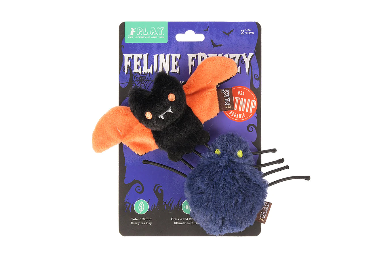 Feline Frenzy Creepy Critters Halloween Cat Toy-Four Muddy Paws