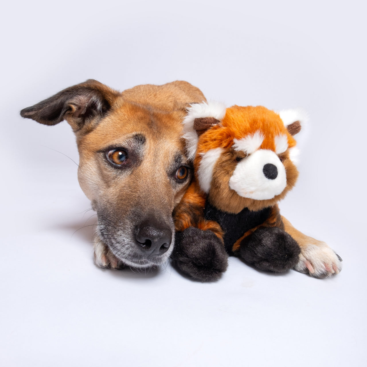 Fluff & Tuff Archie Red Panda Dog Toy-Four Muddy Paws
