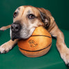 Fluff & Tuff Basketball Dog Toy-Four Muddy Paws
