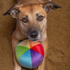 Fluff & Tuff Mini Beach Ball Dog Toy small-Four Muddy Paws