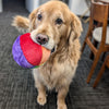 Fluff & Tuff Mini Beach Ball Dog Toy small-Four Muddy Paws