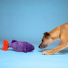 Fluff and Tuff Cici the Tropical Fish Dog Toy-Four Muddy Paws