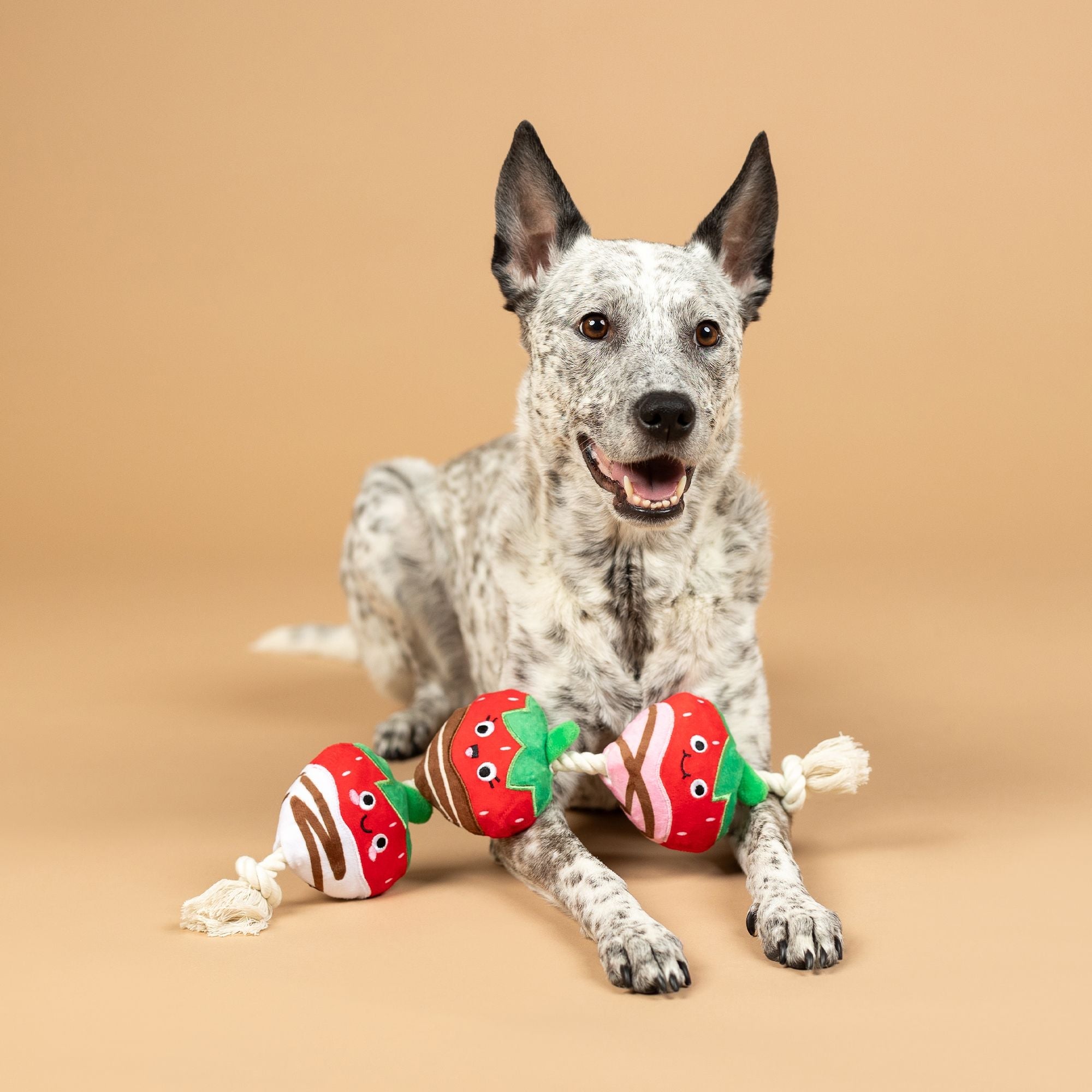 Fringe Covered With Love Plush Dog Toy-Four Muddy Paws