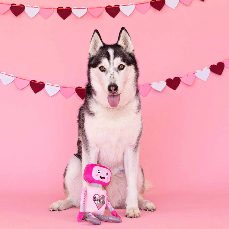 Fringe Will U Beep My Valentine Dog Toy-Four Muddy Paws