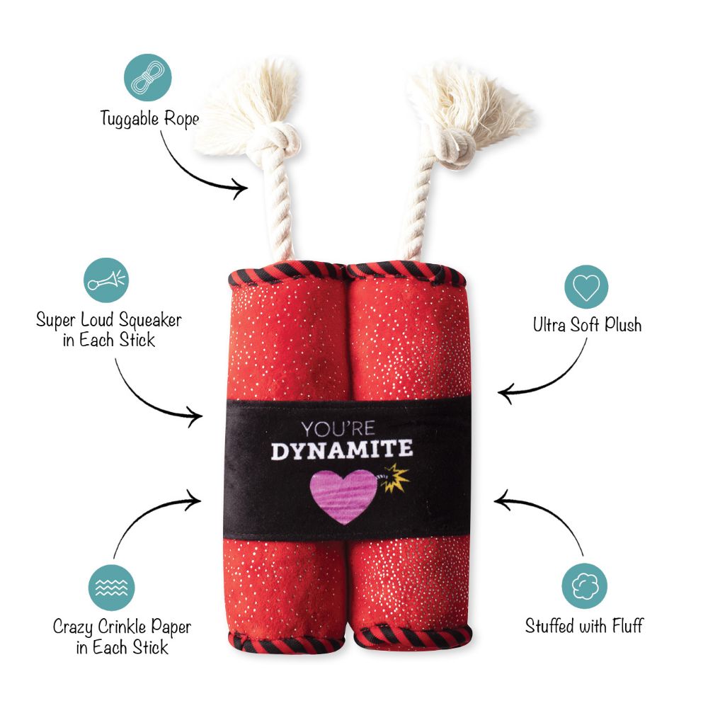 Fringe Youre Dynamite Plush Dog Toy-Four Muddy Paws