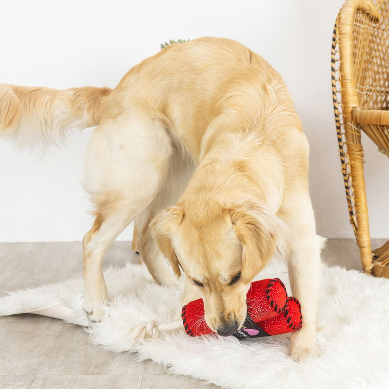 Fringe Youre Dynamite Plush Dog Toy-Four Muddy Paws