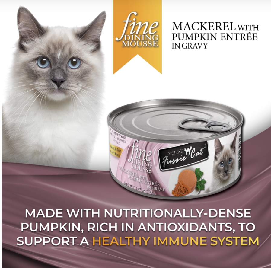 Fussie Cat Fine Mousse Mackerel with Pumpkin Can 2.47oz-Four Muddy Paws