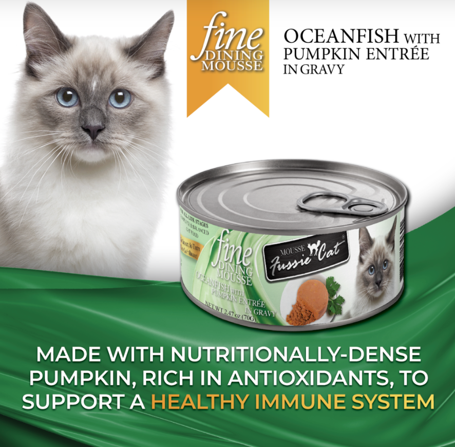 Fussie Cat Fine Mousse Oceanfish with Pumpkin Can 2.47oz-Four Muddy Paws