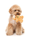 FuzzYard Fred The Gingerbread Dog Toy L-Four Muddy Paws