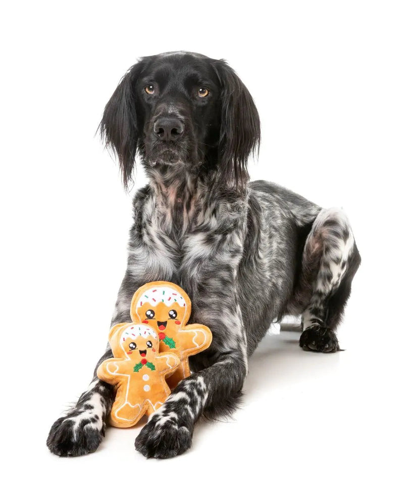 FuzzYard Fred The Gingerbread Dog Toy L-Four Muddy Paws