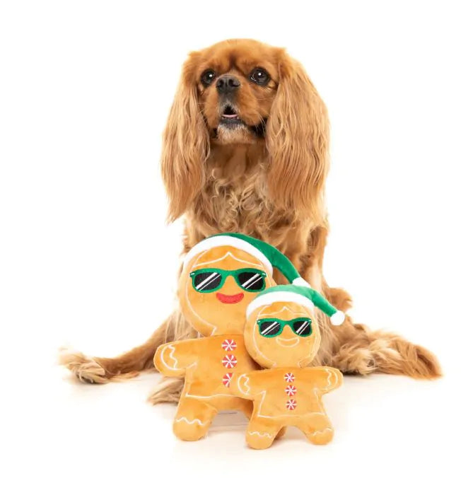 FuzzYard Jolly Gingergal Dog Toy L-Four Muddy Paws
