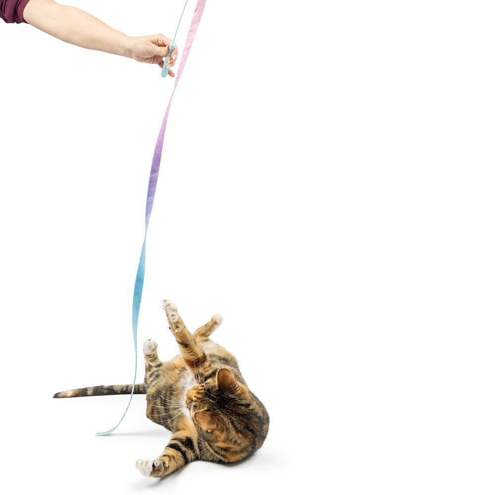 Huxley & Kent Dance & Lure Pastel Cat Wand-Four Muddy Paws