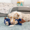 Huxley & Kent Power Plush Justin Beaver Dog Toy Small-Four Muddy Paws