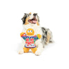 Huxley & Kent Power Plush Ugly Sweater G-Man Dog Toy-Four Muddy Paws