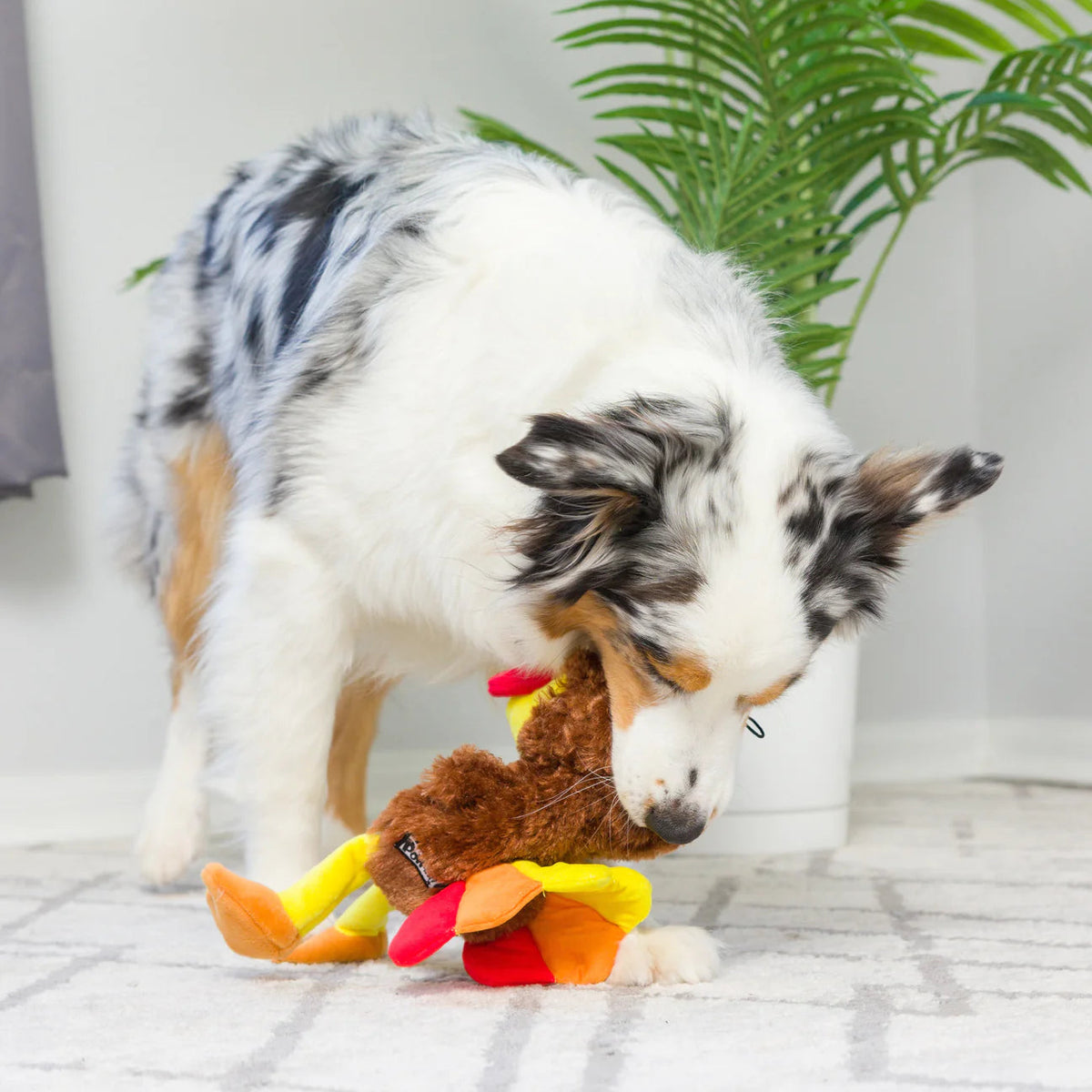 Huxley & Kent Power Plush Wishbone Turkey Dog Toy Large-Four Muddy Paws