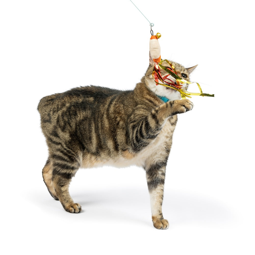 Huxley & Kent Snacky Teasers Refill Cat Toys 3pk-Four Muddy Paws