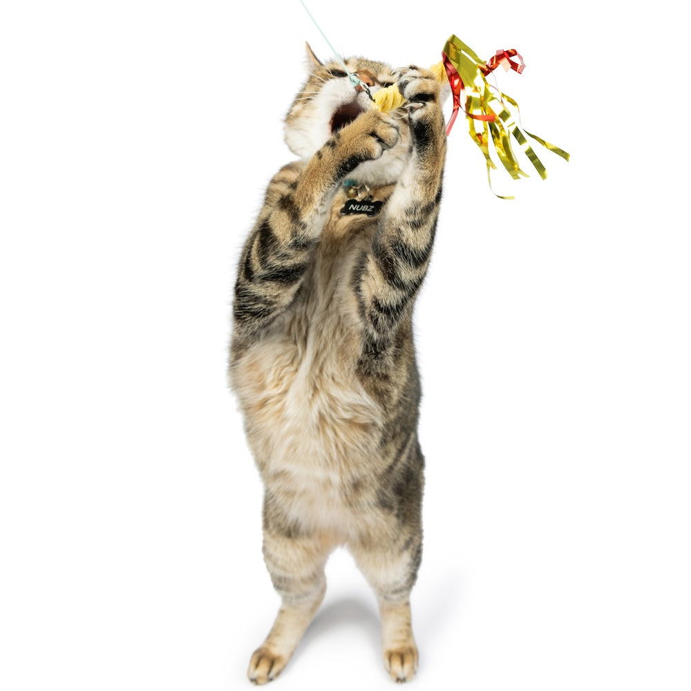 Huxley & Kent Snacky Teasers Refill Cat Toys 3pk-Four Muddy Paws