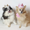 Huxley and Kent Party Crown Gold Small-Four Muddy Paws