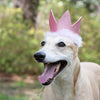 Huxley and Kent Party Crown Purple Large-Four Muddy Paws